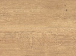 H2733 ДУБ АРЛИНГТОН